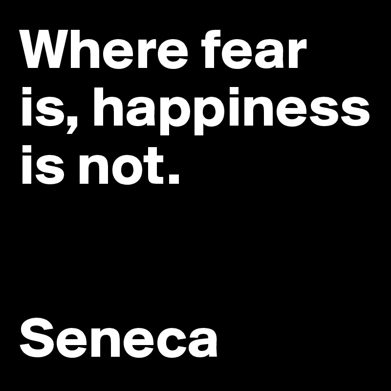 Where fear is, happiness is not.       


Seneca