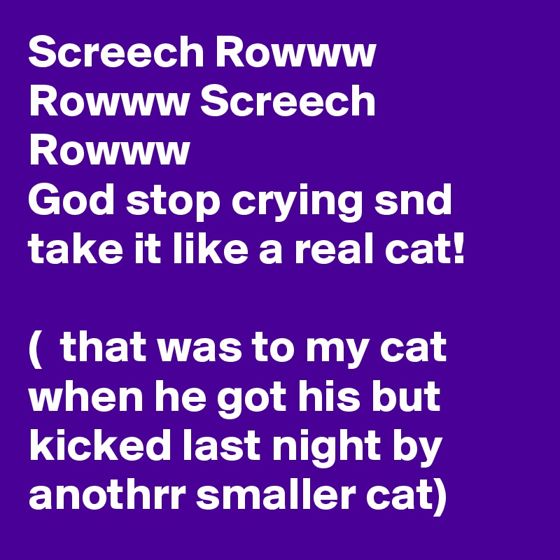 Screech Rowww Rowww Screech Rowww
God stop crying snd take it like a real cat!

(  that was to my cat when he got his but kicked last night by anothrr smaller cat)