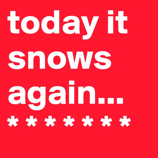 today it snows again... 
* * * * * * * 
