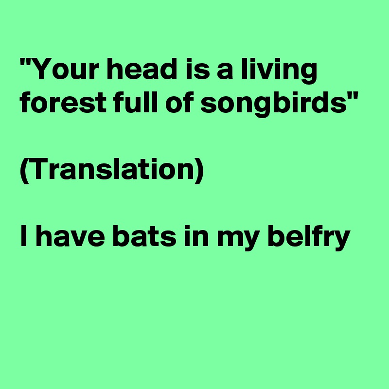
"Your head is a living forest full of songbirds"

(Translation)

I have bats in my belfry


