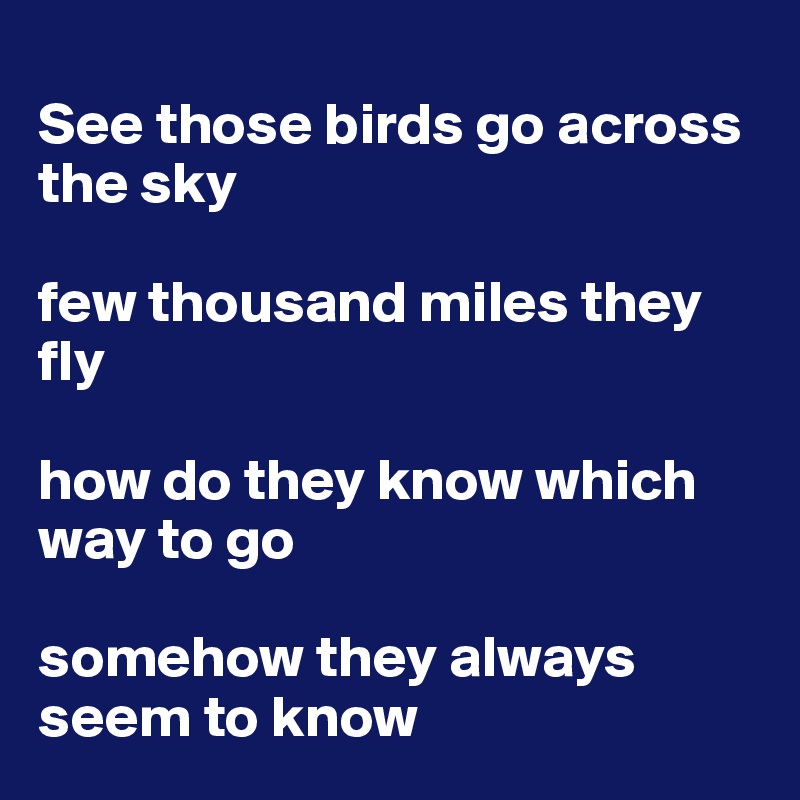 
See those birds go across the sky

few thousand miles they fly

how do they know which way to go

somehow they always seem to know