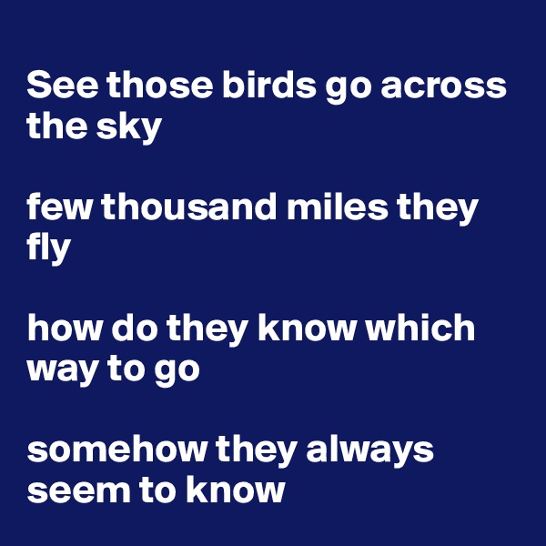 
See those birds go across the sky

few thousand miles they fly

how do they know which way to go

somehow they always seem to know