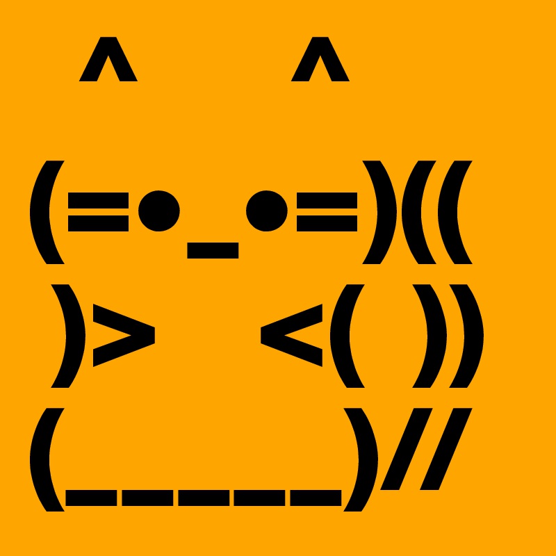   ^      ^
(=•_•=)((
 )>    <(  ))      
(_____)//
