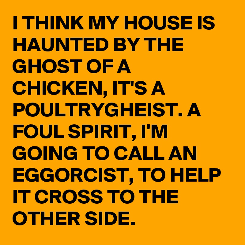 I THINK MY HOUSE IS HAUNTED BY THE GHOST OF A CHICKEN, IT'S A POULTRYGHEIST. A FOUL SPIRIT, I'M GOING TO CALL AN EGGORCIST, TO HELP IT CROSS TO THE OTHER SIDE.