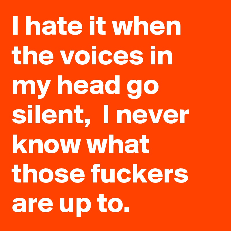 I hate it when the voices in my head go silent,  I never know what those fuckers are up to.