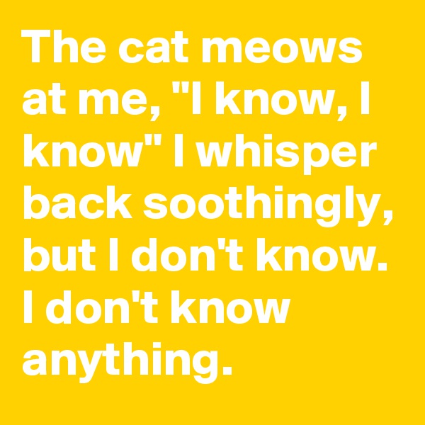 The cat meows at me, "I know, I know" I whisper back soothingly, but I don't know. I don't know anything.