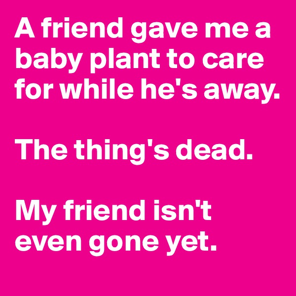 A friend gave me a baby plant to care for while he's away. 

The thing's dead. 

My friend isn't even gone yet.