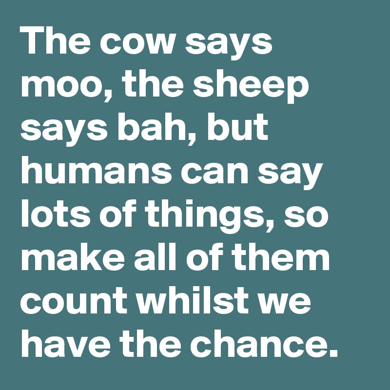 The cow says moo, the sheep says bah, but humans can say lots of things, so make all of them count whilst we have the chance.