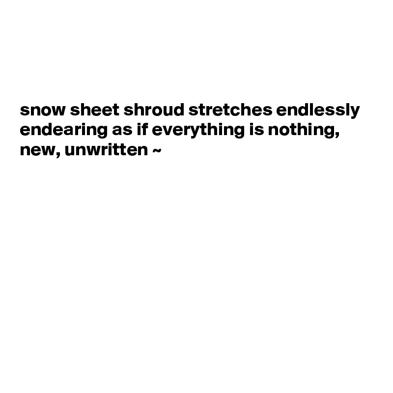 



snow sheet shroud stretches endlessly endearing as if everything is nothing, new, unwritten ~  









