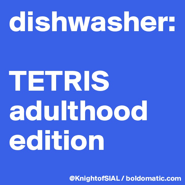 dishwasher:

TETRIS adulthood edition
