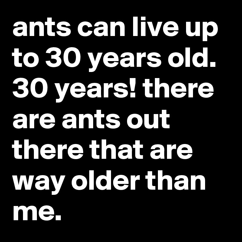 ants can live up to 30 years old. 30 years! there are ants out there that are way older than me.