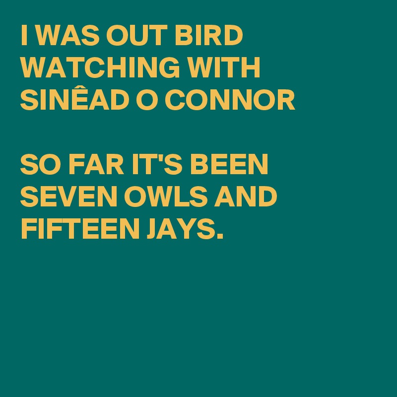 I WAS OUT BIRD WATCHING WITH SINÊAD O CONNOR 

SO FAR IT'S BEEN SEVEN OWLS AND FIFTEEN JAYS.



