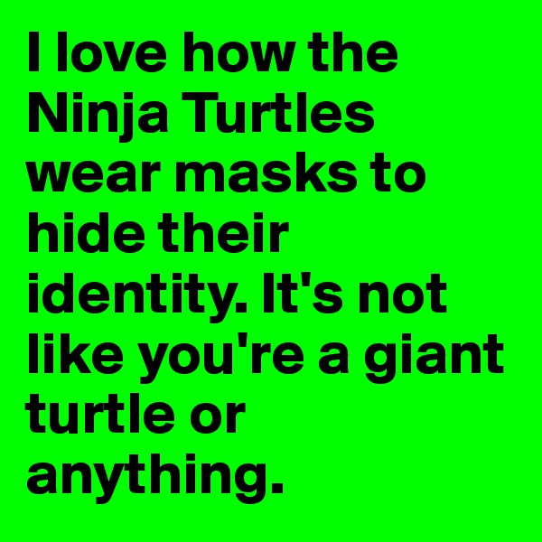 I love how the Ninja Turtles wear masks to hide their identity. It's not like you're a giant turtle or anything.