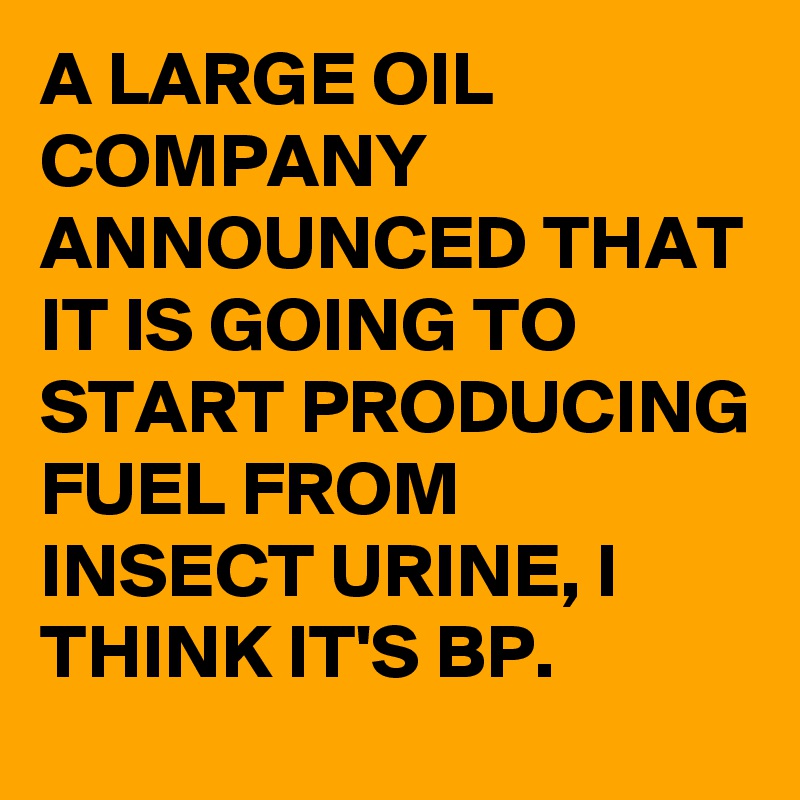 A LARGE OIL COMPANY ANNOUNCED THAT IT IS GOING TO START PRODUCING FUEL FROM INSECT URINE, I THINK IT'S BP.