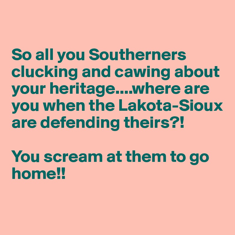 

So all you Southerners clucking and cawing about your heritage....where are you when the Lakota-Sioux are defending theirs?!

You scream at them to go home!!

