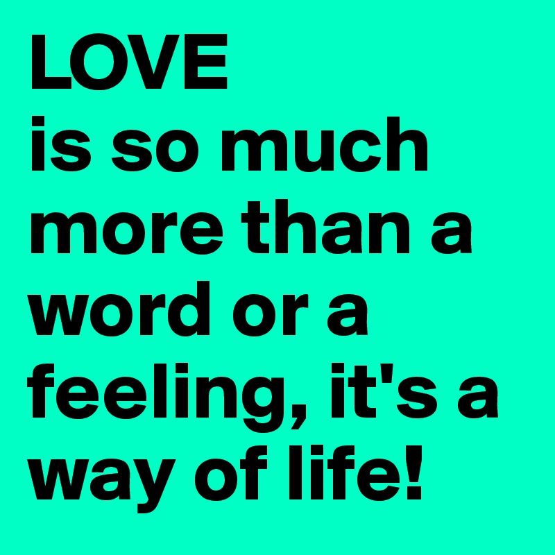 LOVE
is so much more than a word or a feeling, it's a way of life!