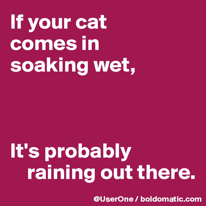 If your cat
comes in
soaking wet,



It's probably
    raining out there.