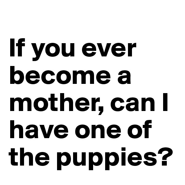 
If you ever become a mother, can I have one of the puppies?