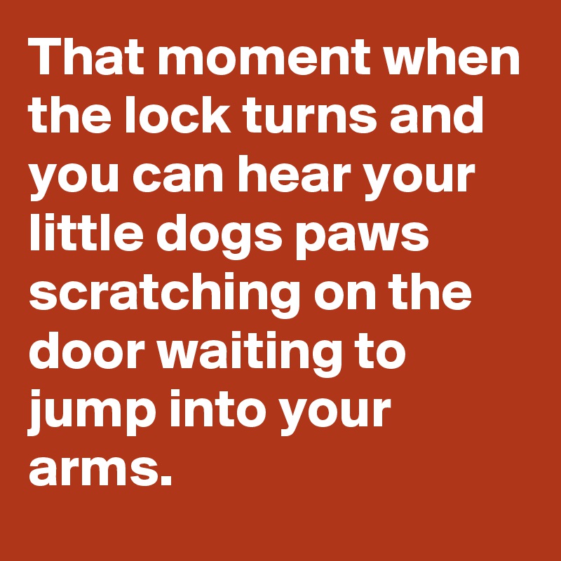 That moment when the lock turns and you can hear your little dogs paws scratching on the door waiting to jump into your arms.