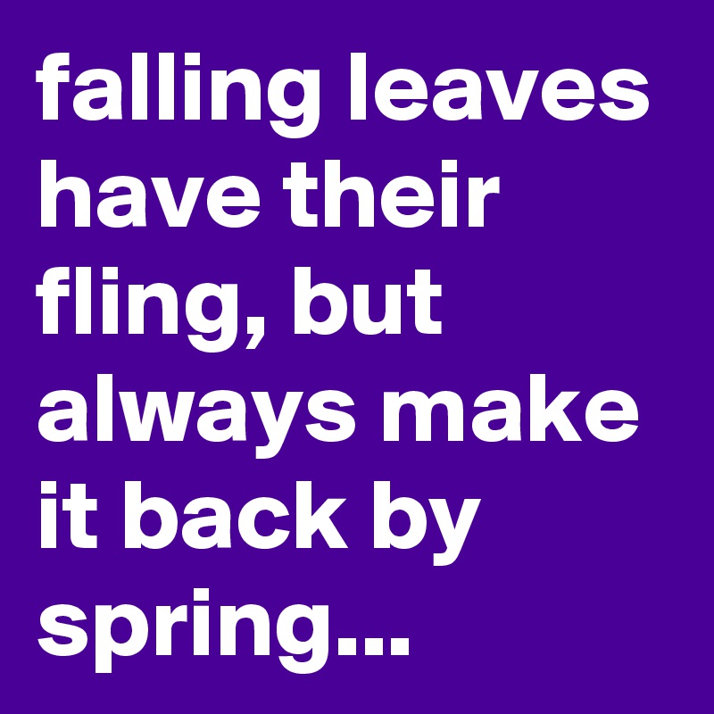 falling leaves have their fling, but always make it back by spring...