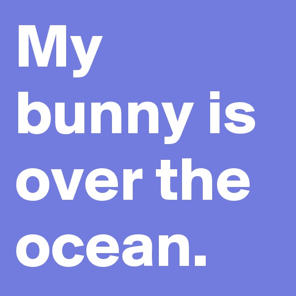 My bunny is over the ocean.