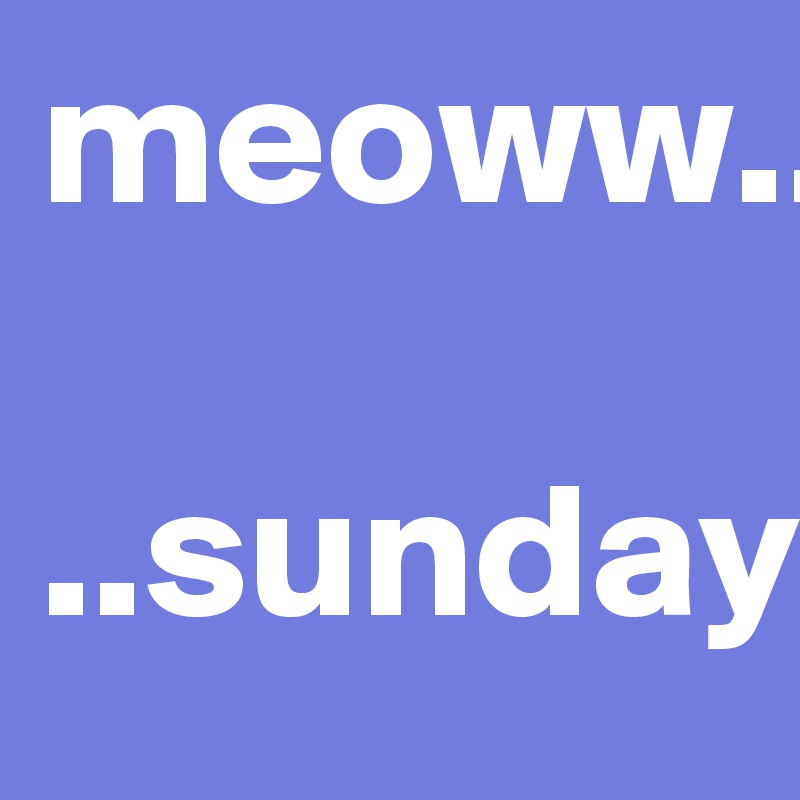 meoww..

..sunday