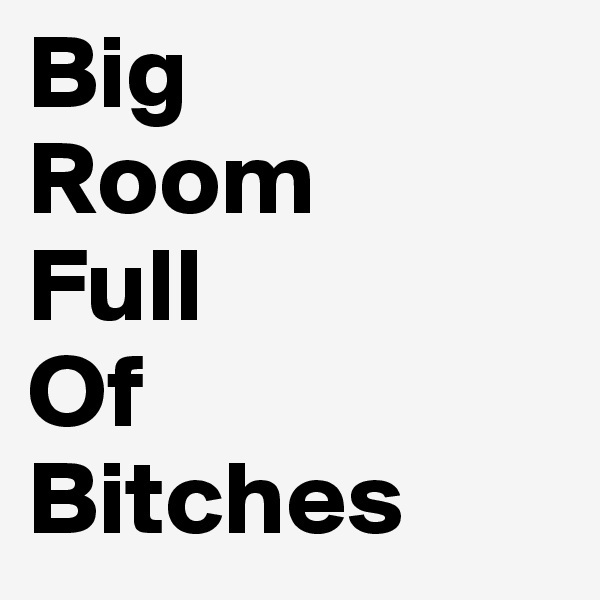 Big
Room
Full
Of
Bitches