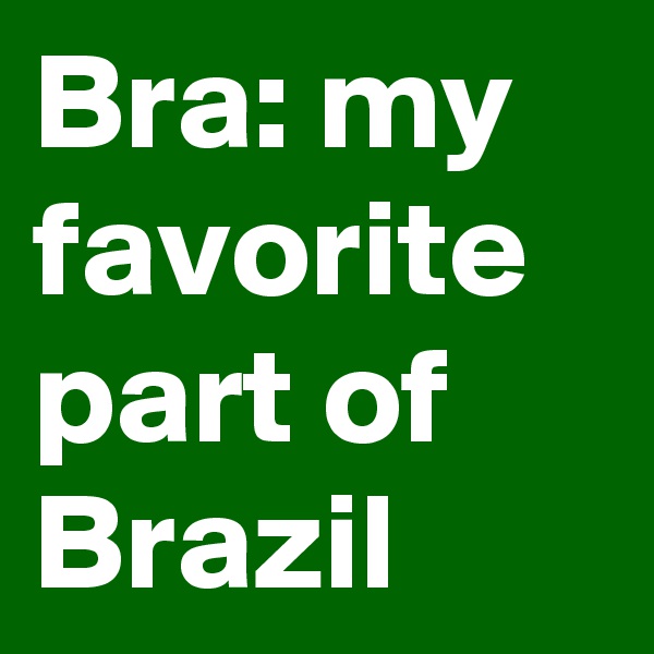 Bra: my favorite part of Brazil 