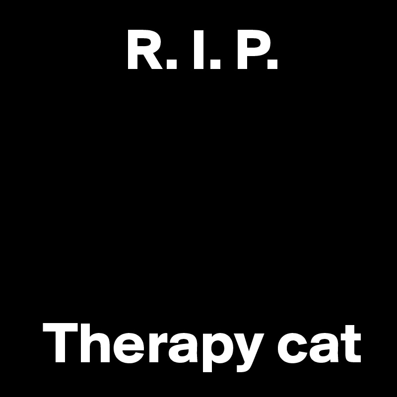          R. I. P. 




  Therapy cat
