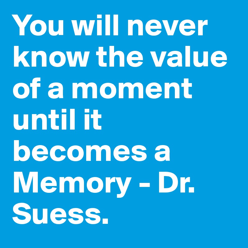 You will never know the value of a moment until it becomes a Memory - Dr. Suess.