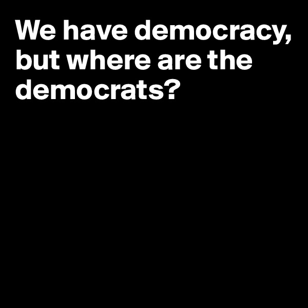 We have democracy, but where are the democrats?





