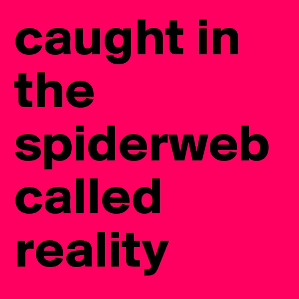 caught in the spiderweb called reality