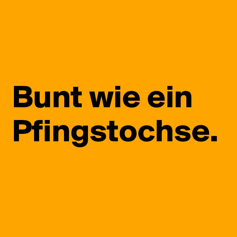 

Bunt wie ein Pfingstochse.