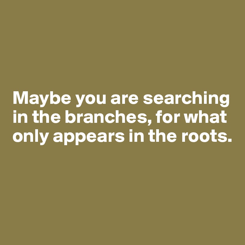 



Maybe you are searching in the branches, for what only appears in the roots.




