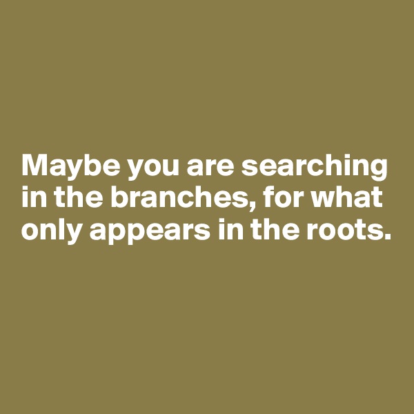 



Maybe you are searching in the branches, for what only appears in the roots.



