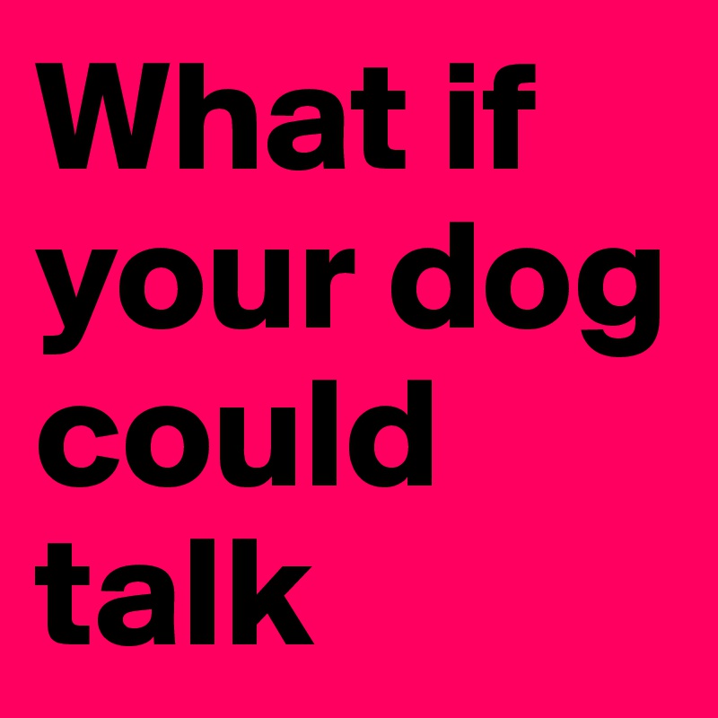 What if your dog could talk