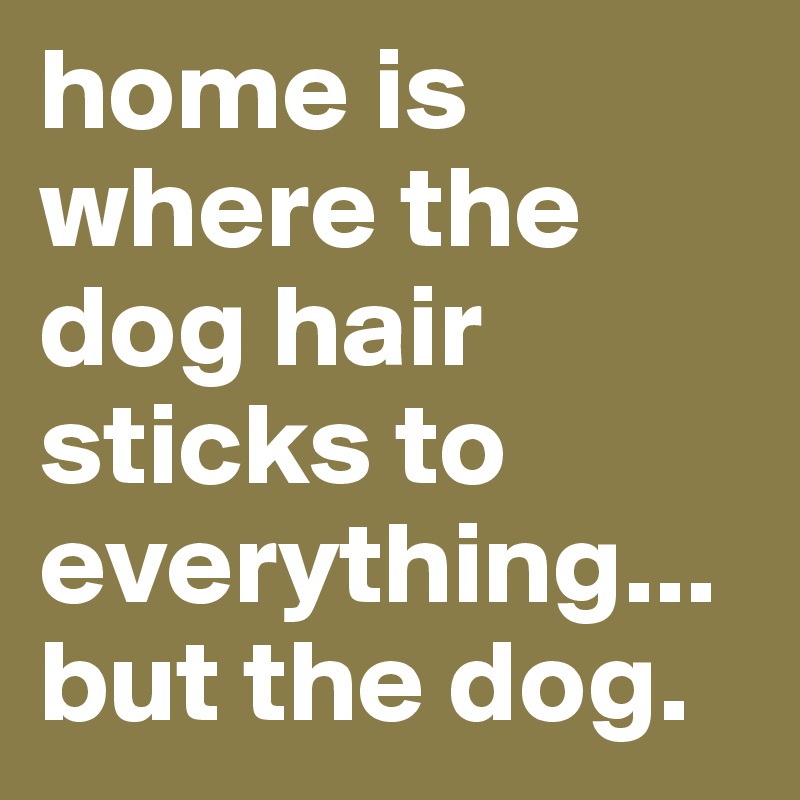 home is where the dog hair sticks to everything... but the dog.