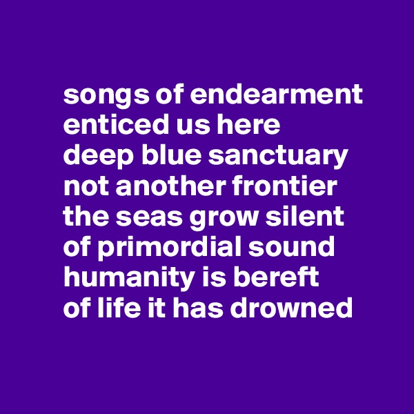 

       songs of endearment 
       enticed us here
       deep blue sanctuary 
       not another frontier 
       the seas grow silent
       of primordial sound
       humanity is bereft
       of life it has drowned

