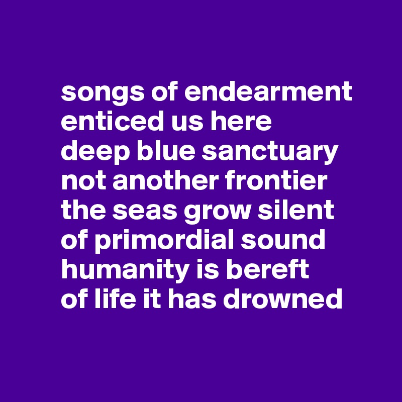 

       songs of endearment 
       enticed us here
       deep blue sanctuary 
       not another frontier 
       the seas grow silent
       of primordial sound
       humanity is bereft
       of life it has drowned

