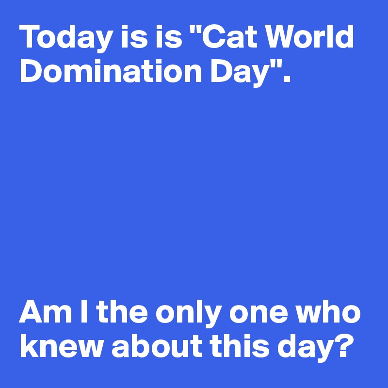 Today is is "Cat World Domination Day".






Am I the only one who knew about this day?