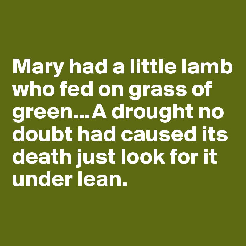 

Mary had a little lamb who fed on grass of green...A drought no doubt had caused its death just look for it under lean.
