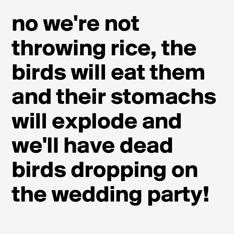 no we're not throwing rice, the birds will eat them and their stomachs will explode and we'll have dead birds dropping on the wedding party!