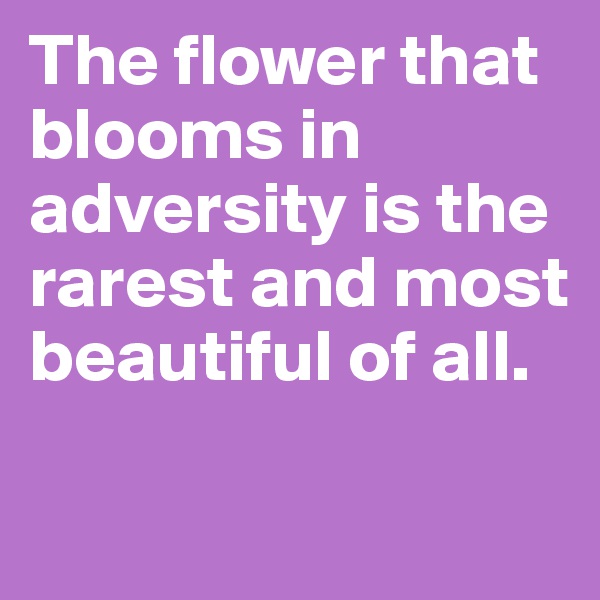 The flower that blooms in adversity is the rarest and most beautiful of all.

