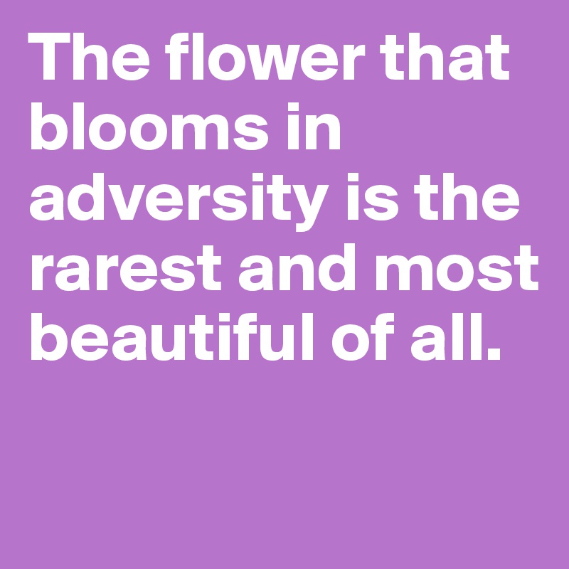 The flower that blooms in adversity is the rarest and most beautiful of all.

