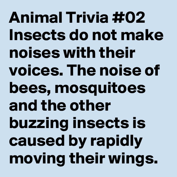 Animal Trivia #02  Insects do not make noises with their voices. The noise of bees, mosquitoes and the other buzzing insects is caused by rapidly moving their wings.