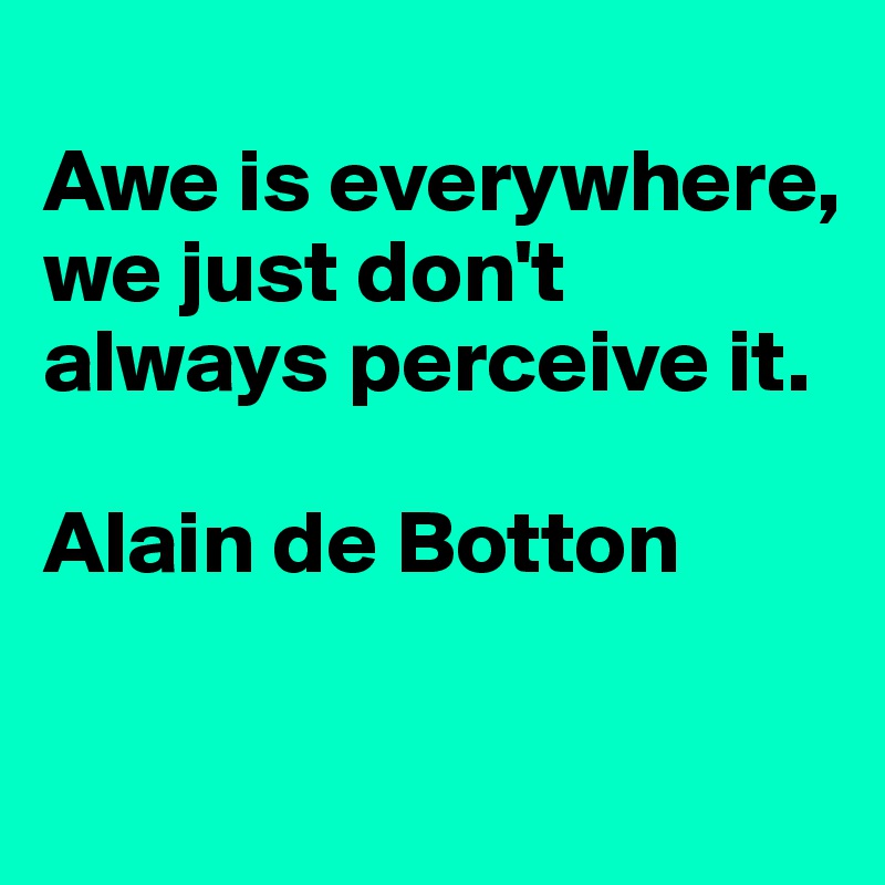 
Awe is everywhere, we just don't always perceive it. 

Alain de Botton

