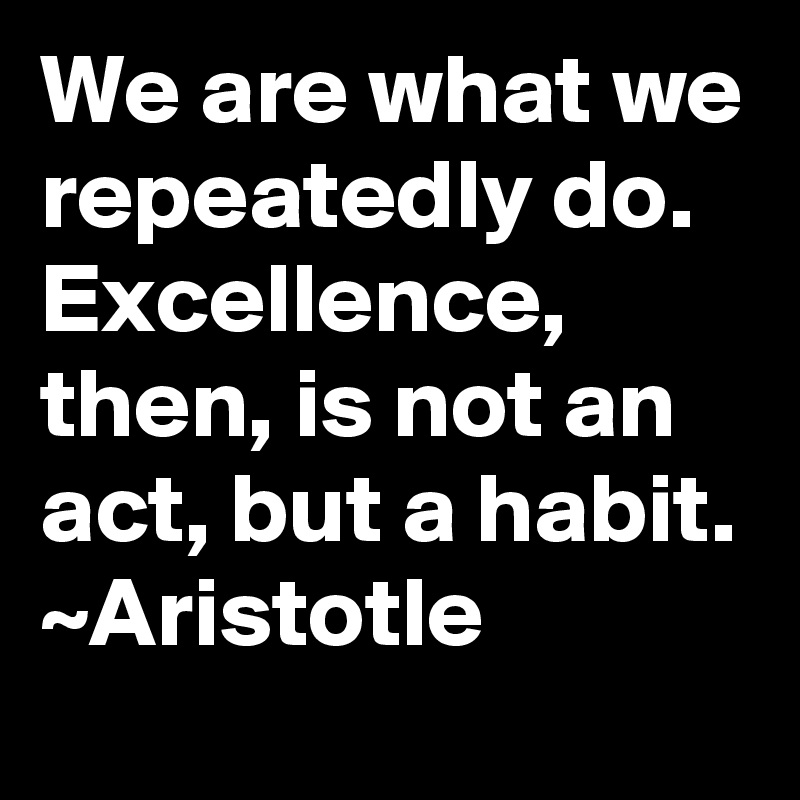 We are what we repeatedly do. Excellence, then, is not an act, but a habit.
~Aristotle