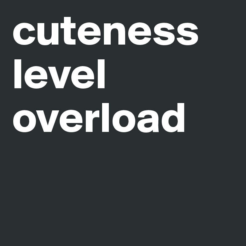 cuteness level overload

