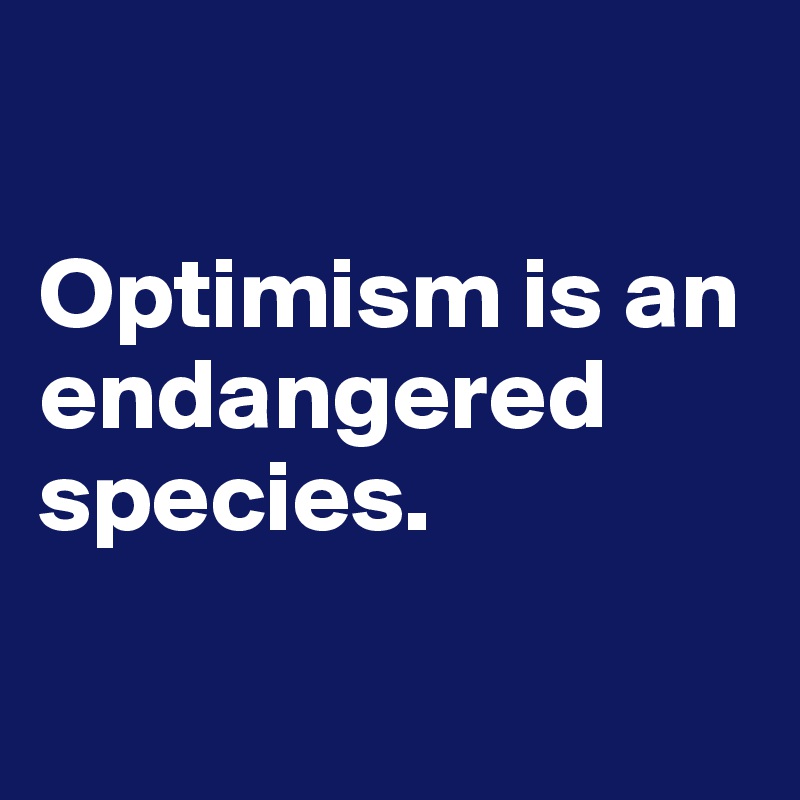 

Optimism is an endangered species.

