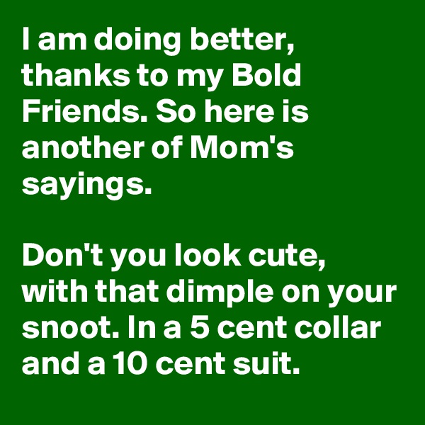 I am doing better, thanks to my Bold Friends. So here is another of Mom's sayings. 

Don't you look cute, with that dimple on your snoot. In a 5 cent collar and a 10 cent suit.